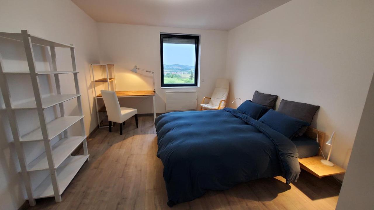 L'Ecrin De Saint Genest Lerpt - Belle Vue Et Calme Apartment Luaran gambar